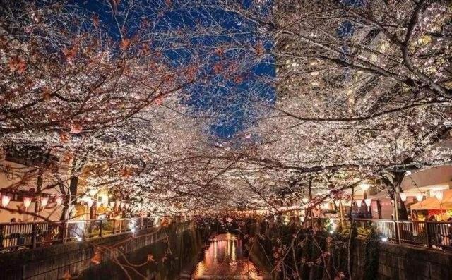Sakuranomiya Hotell Osaka Exteriör bild